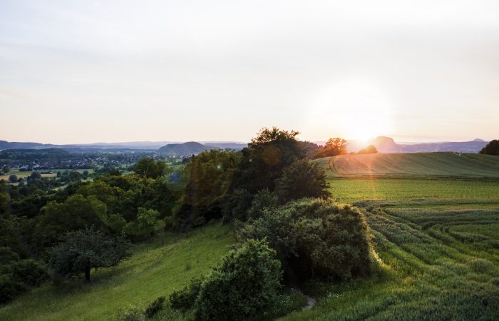 Blick auf die grüne Landschaft in Hegau. Aussicht von der Blattform auf dem Galgenberg in Bohlingen.