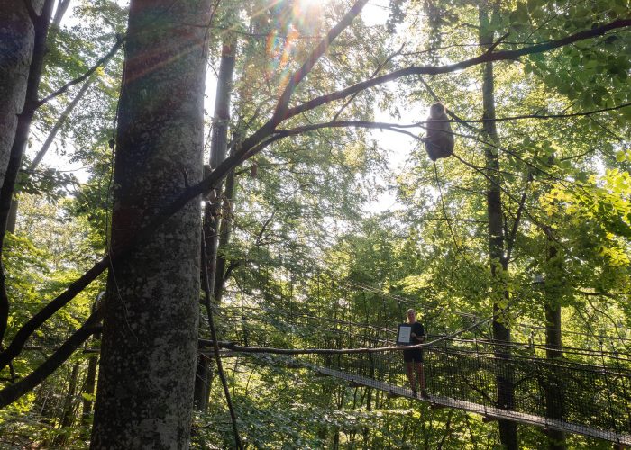 Ein Affe sitzt auf einem Baumast mittne in einem Wald. Unter ihm steht eine weibliche Mitarbeiterin des Affenberg Salems auf einer Seilbrücke. Sie hält die Urkunde zum Innovationspreis Bodensee 2023 in den Händen.