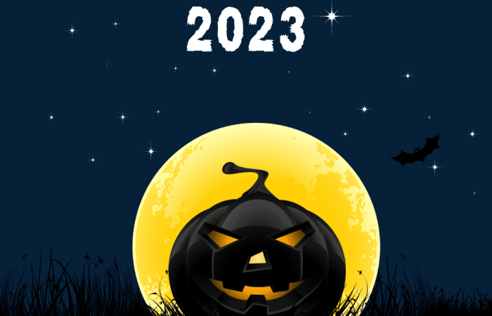Ein Plakat zur Veranstaltung Halloweenlake. Oben steht der Titel "Halloweenlake 2023". Darunter ist ein schwarzer, ausgeschnitzter Kürbis, der auf gruselige Weise lacht. Hinter im scheint der Vollmond. Im funkelnden Sternenhimmel fliegt eine Fledermaus.